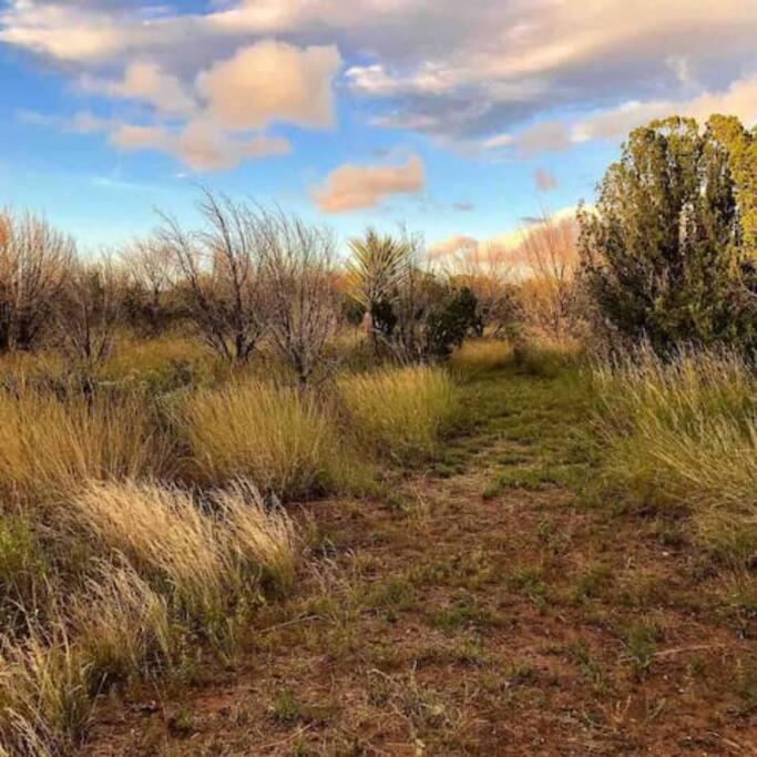 Cottonwood Creek Cabins - Alpine, Tx Экстерьер фото