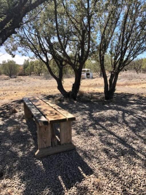 Cottonwood Creek Cabins - Alpine, Tx Экстерьер фото