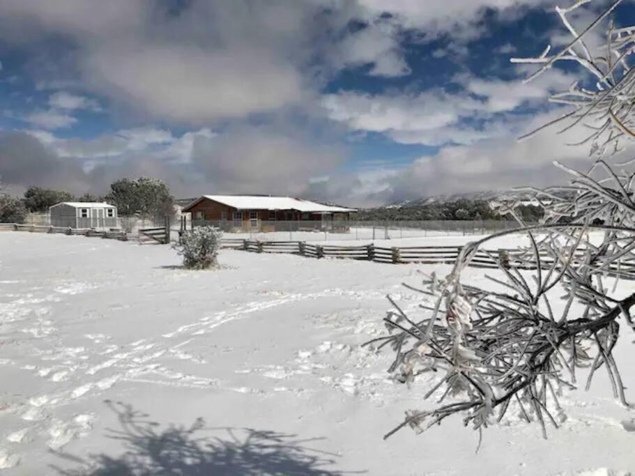 Cottonwood Creek Cabins - Alpine, Tx Экстерьер фото