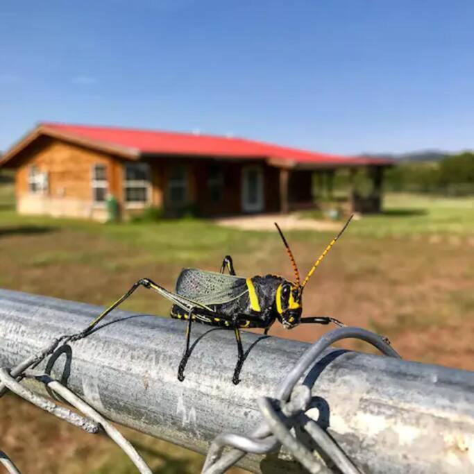 Cottonwood Creek Cabins - Alpine, Tx Экстерьер фото